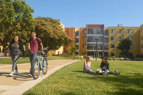 UC Davis