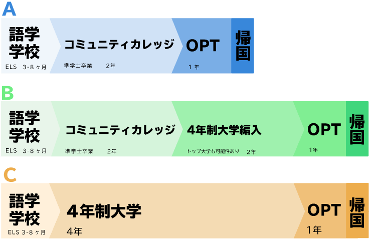 スケジュール例