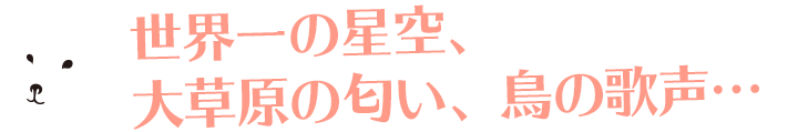 英語も、大自然も、旅も満喫したいあなたへ！